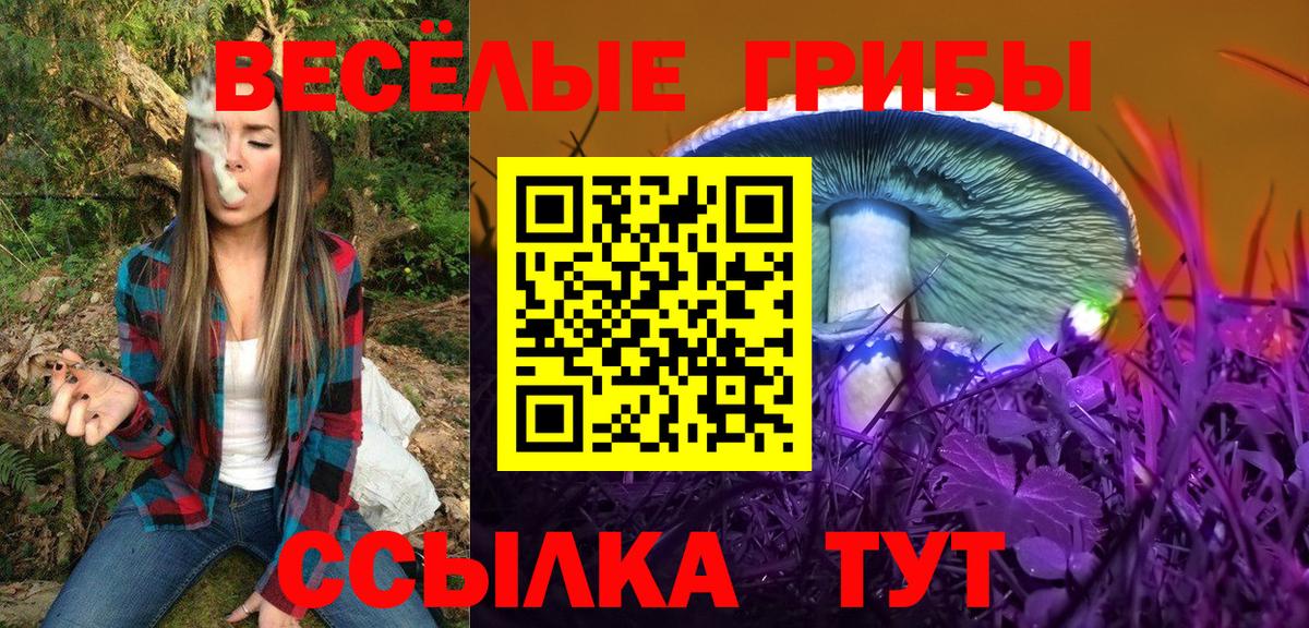 Псилоцибиновые грибы Cubensis  Вход с VPN  Лесозаводск 