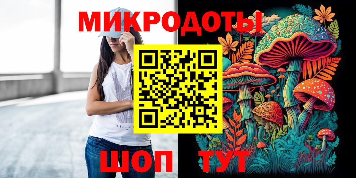 хочу наркоту  Лесозаводск  Галлюциногенные грибы Psilocybe 