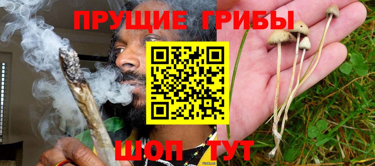 Псилоцибиновые грибы Magic Shrooms Лесозаводск