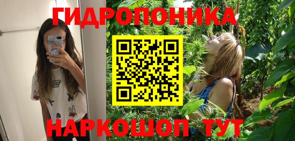 Бошки марихуана Amnesia Лесозаводск
